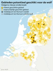 Wolven in Nederland 