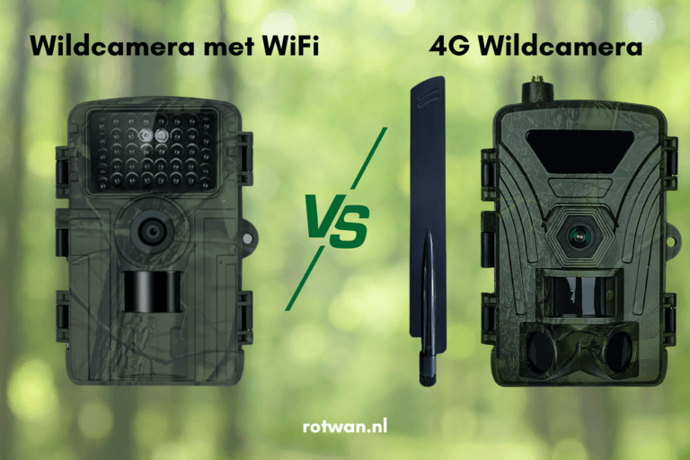 verschil wildcamera Wifi en 4G wildcamera