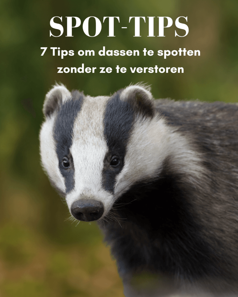 Spot tips dassen